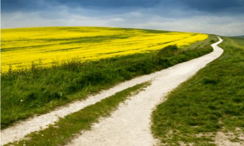 path through field